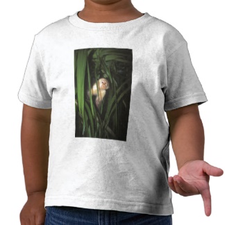 Costa Rica WildLife T-Shirt