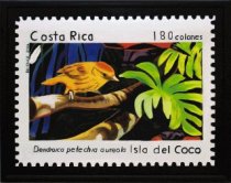 Costa Rica bird species