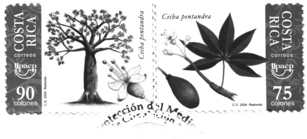 Costa Rican environmental protection